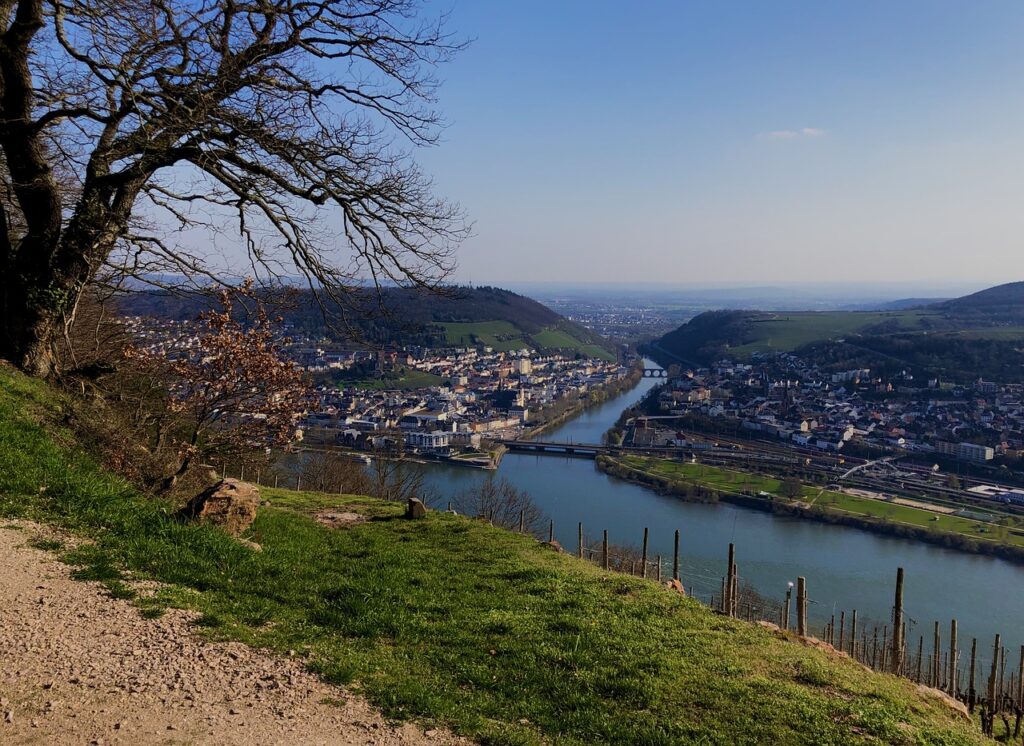 Rheingau